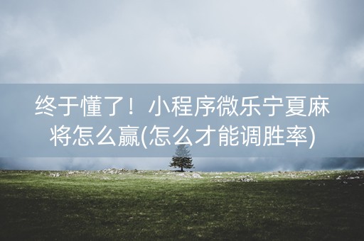 终于懂了！小程序微乐宁夏麻将怎么赢(怎么才能调胜率)