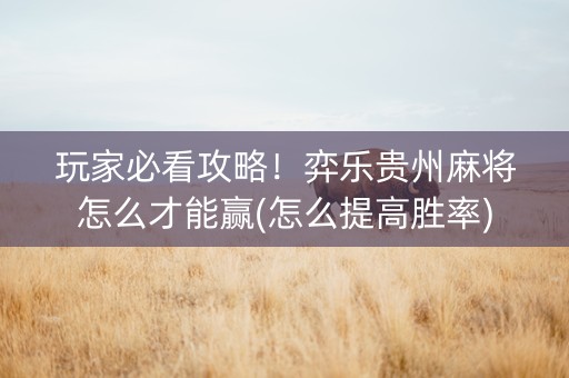 玩家必看攻略！弈乐贵州麻将怎么才能赢(怎么提高胜率)