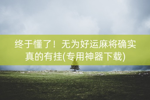 终于懂了！无为好运麻将确实真的有挂(专用神器下载)