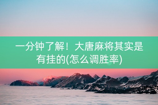 一分钟了解！大唐麻将其实是有挂的(怎么调胜率)