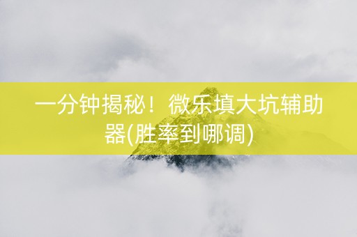 一分钟揭秘！微乐填大坑辅助器(胜率到哪调)