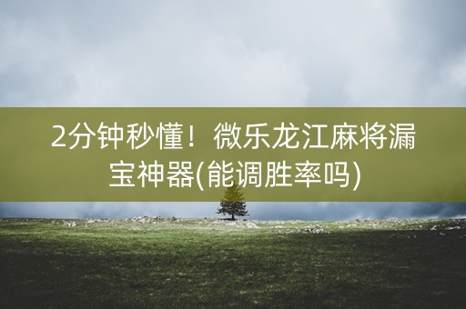 2分钟秒懂！微乐龙江麻将漏宝神器(能调胜率吗)