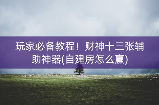 玩家必备教程！财神十三张辅助神器(自建房怎么赢)