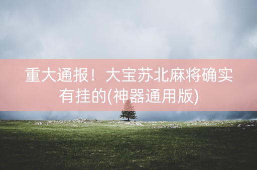 重大通报！大宝苏北麻将确实有挂的(神器通用版)