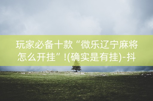 玩家必备十款“微乐辽宁麻将怎么开挂”!(确实是有挂)-抖音