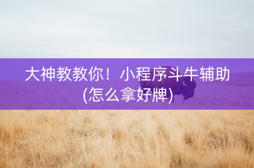 大神教教你！小程序斗牛辅助(怎么拿好牌)