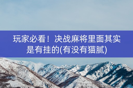玩家必看！决战麻将里面其实是有挂的(有没有猫腻)