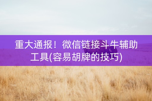 重大通报！微信链接斗牛辅助工具(容易胡牌的技巧)