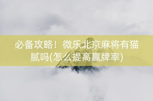 必备攻略！微乐北京麻将有猫腻吗(怎么提高赢牌率)