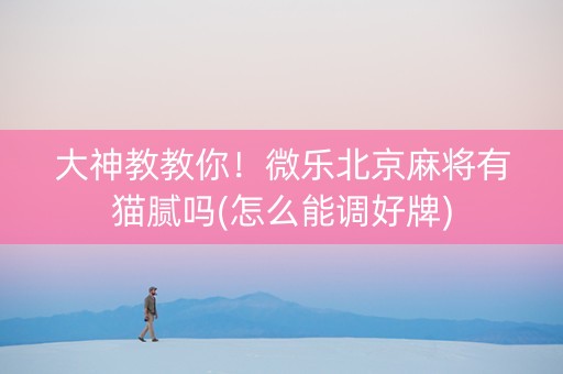 大神教教你！微乐北京麻将有猫腻吗(怎么能调好牌)