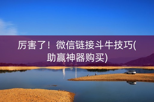 厉害了！微信链接斗牛技巧(助赢神器购买)