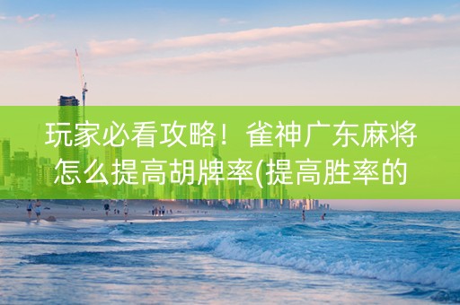 玩家必看攻略！雀神广东麻将怎么提高胡牌率(提高胜率的方法)