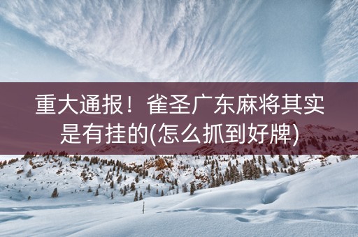 重大通报！雀圣广东麻将其实是有挂的(怎么抓到好牌)