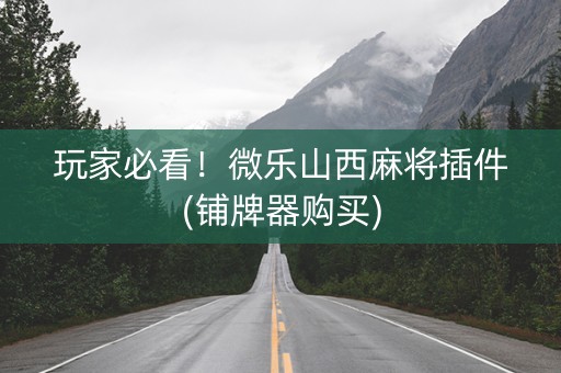 玩家必看！微乐山西麻将插件(铺牌器购买)