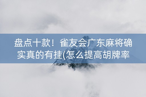 盘点十款！雀友会广东麻将确实真的有挂(怎么提高胡牌率)
