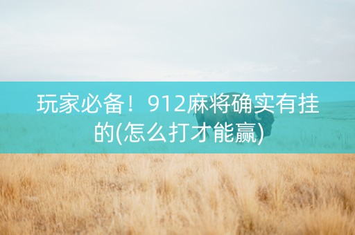 玩家必备！912麻将确实有挂的(怎么打才能赢)