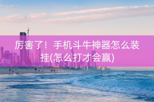 厉害了！手机斗牛神器怎么装挂(怎么打才会赢)