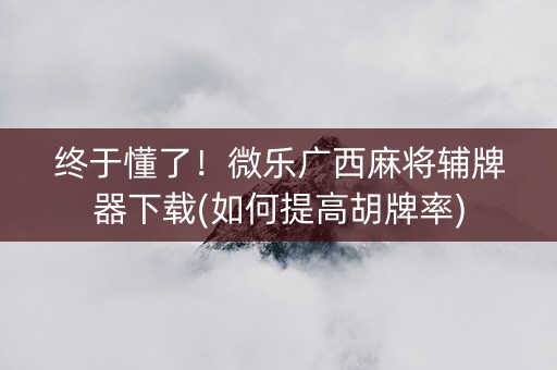 终于懂了！微乐广西麻将辅牌器下载(如何提高胡牌率)