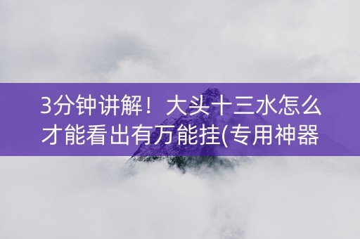 3分钟讲解！大头十三水怎么才能看出有万能挂(专用神器下载)