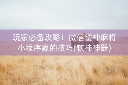 玩家必备攻略！微信雀神麻将小程序赢的技巧(软挂神器)
