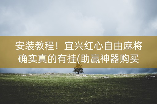 安装教程！宜兴红心自由麻将确实真的有挂(助赢神器购买)