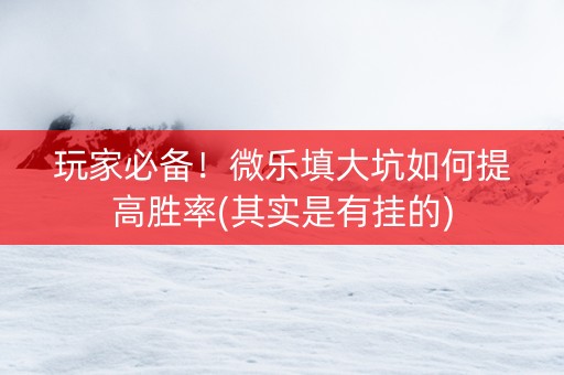 玩家必备！微乐填大坑如何提高胜率(其实是有挂的)
