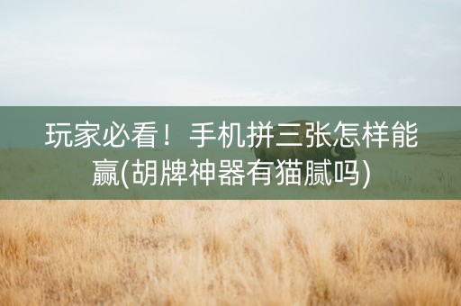 玩家必看！手机拼三张怎样能赢(胡牌神器有猫腻吗)