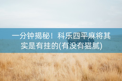 一分钟揭秘！科乐四平麻将其实是有挂的(有没有猫腻)