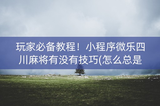 玩家必备教程！小程序微乐四川麻将有没有技巧(怎么总是输)