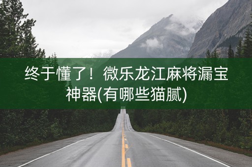 终于懂了！微乐龙江麻将漏宝神器(有哪些猫腻)