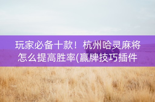 玩家必备十款！杭州哈灵麻将怎么提高胜率(赢牌技巧插件安装)