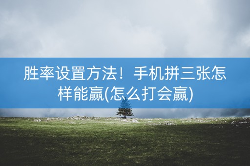 胜率设置方法！手机拼三张怎样能赢(怎么打会赢)