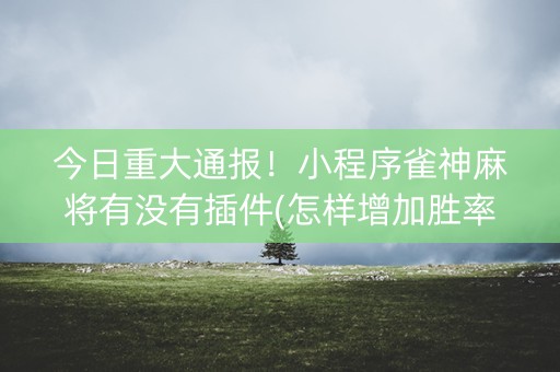 今日重大通报！小程序雀神麻将有没有插件(怎样增加胜率)