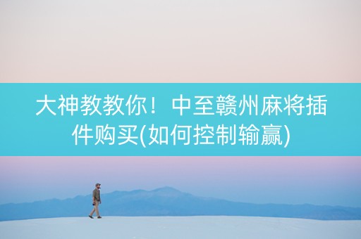 大神教教你！中至赣州麻将插件购买(如何控制输赢)