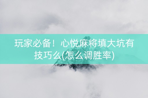 玩家必备！心悦麻将填大坑有技巧么(怎么调胜率)