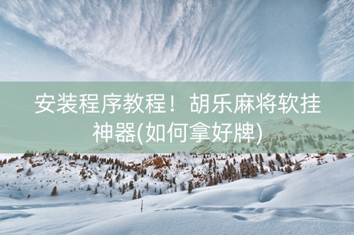 安装程序教程！胡乐麻将软挂神器(如何拿好牌)