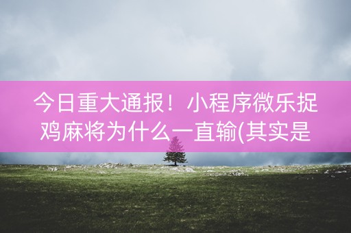 今日重大通报！小程序微乐捉鸡麻将为什么一直输(其实是有挂的)