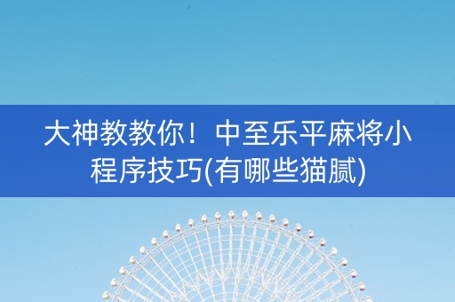 大神教教你！中至乐平麻将小程序技巧(有哪些猫腻)