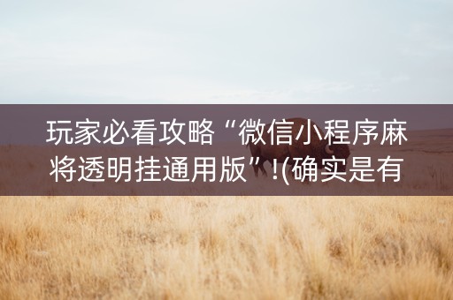 玩家必看攻略“微信小程序麻将透明挂通用版”!(确实是有挂)-抖音