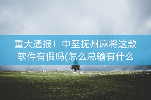 重大通报！中至抚州麻将这款软件有假吗(怎么总输有什么猫腻)