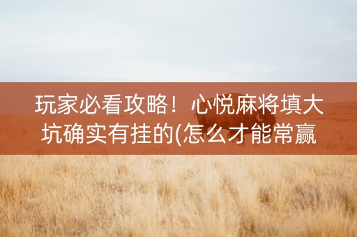 玩家必看攻略！心悦麻将填大坑确实有挂的(怎么才能常赢)