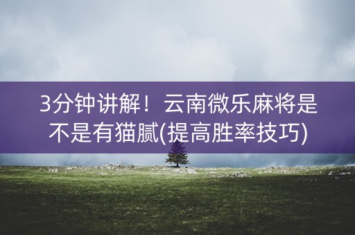3分钟讲解！云南微乐麻将是不是有猫腻(提高胜率技巧)