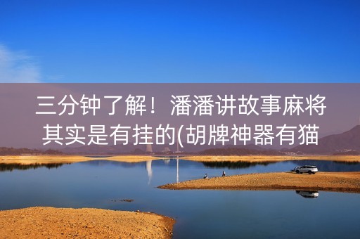 三分钟了解！潘潘讲故事麻将其实是有挂的(胡牌神器有猫腻吗)