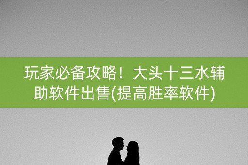 玩家必备攻略！大头十三水辅助软件出售(提高胜率软件)