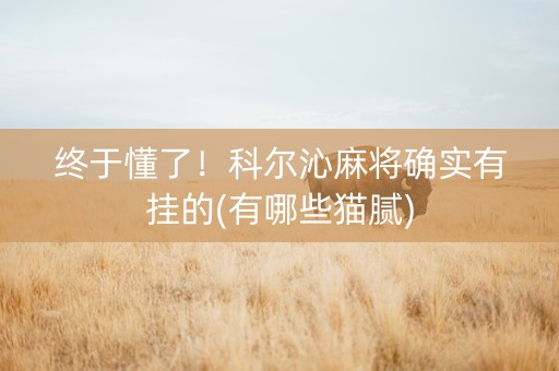 终于懂了！科尔沁麻将确实有挂的(有哪些猫腻)