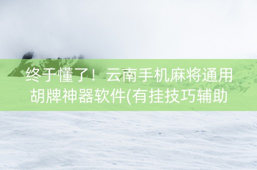 终于懂了！云南手机麻将通用胡牌神器软件(有挂技巧辅助器)