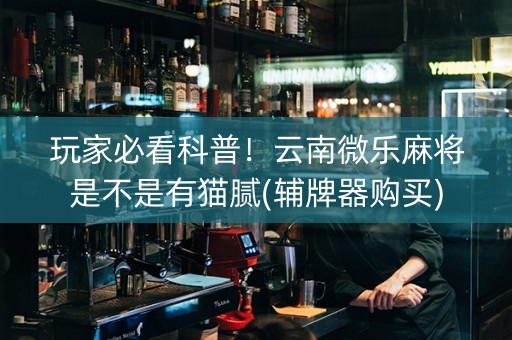 玩家必看科普！云南微乐麻将是不是有猫腻(辅牌器购买)