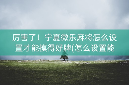 厉害了！宁夏微乐麻将怎么设置才能摸得好牌(怎么设置能有好牌)