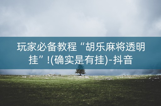 玩家必备教程“胡乐麻将透明挂”!(确实是有挂)-抖音