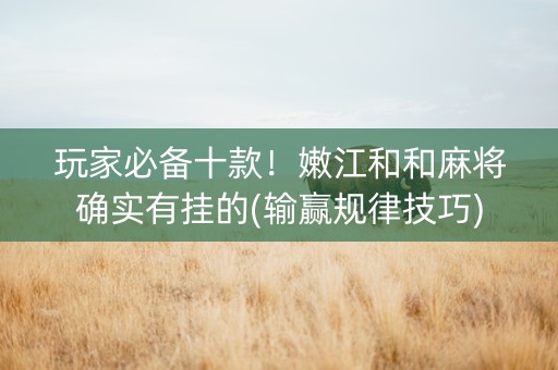 玩家必备十款！嫩江和和麻将确实有挂的(输赢规律技巧)